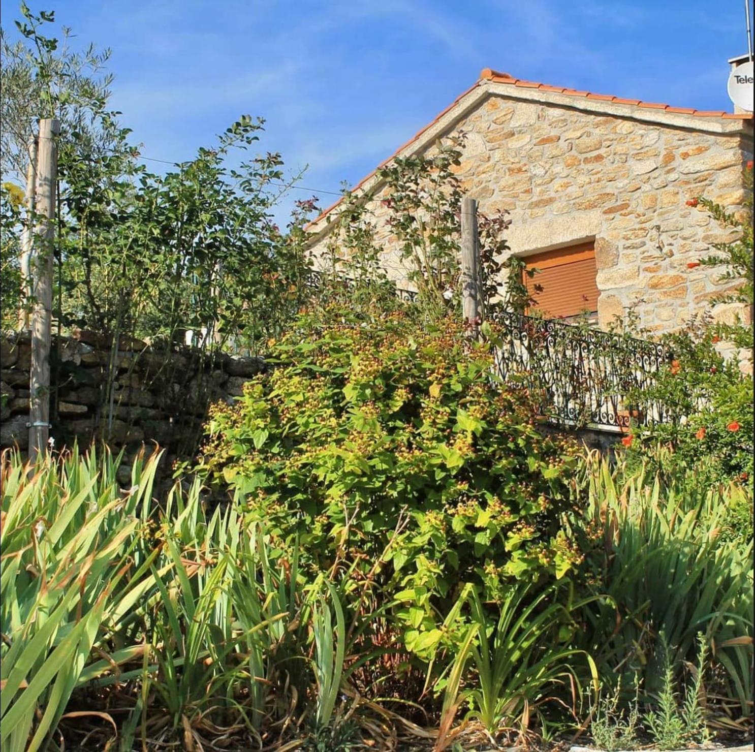 Lirios Da Granja - Casa De Campo Экстерьер фото
